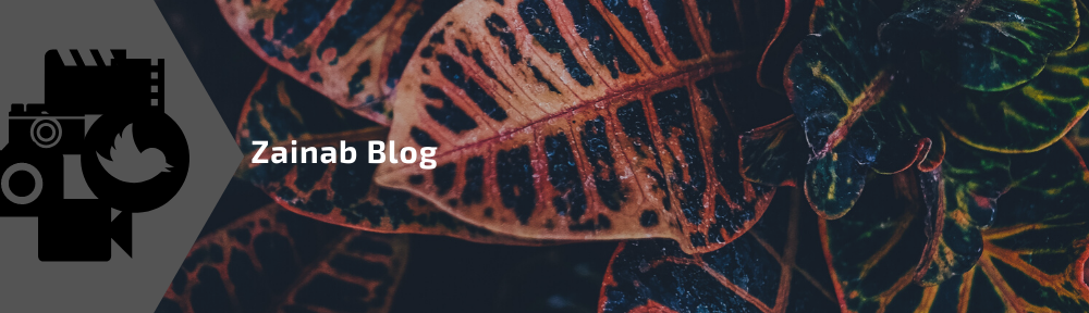 zainab.